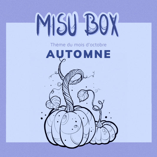 [Préco] La MisuBox